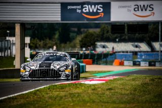 #90 Madpanda Motorsport ESP Mercedes-AMG GT3 Ezequiel Perez Companc ARG Rik Breukers NDL Silver Cup, Free Practice, GT3
