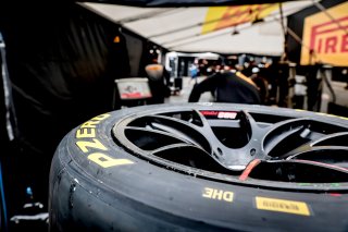 Paddock
