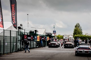 Paddock
