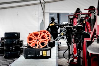 Paddock
