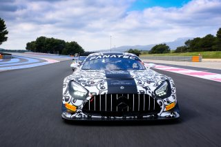 #90 Mad Panda Motorsport ESP Mercedes-AMG GT3 Ezequiel Perez Companc Max Hofer Rik Breukers -, Rolling Shoot
