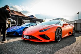 Paddock
