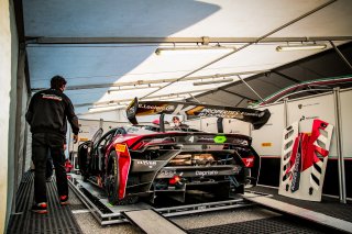 Paddock

