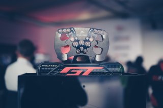 Fanatec SRO Esports GT Pro Serries Monza
