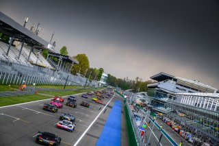 Race

