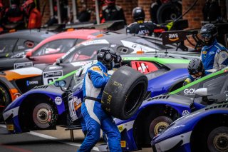 Free Practice, Pitlane

