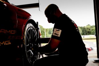 Scrutineering
