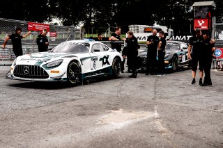 Scrutineering
