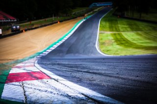 Trackwalk
