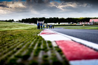 Trackwalk
