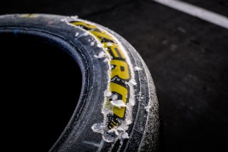 Paddock
