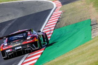 Free Practice
