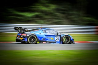 #25 Sainteloc Junior Team FRA Audi R8 LMS evo II GT3 Aurelien Panis FRA Patric Niederhauser CHE Pro, Race 2
