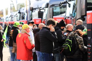 Paddock
