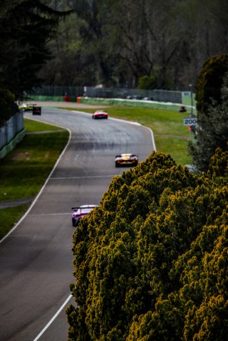 Race
