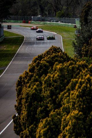 Race
