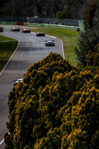 Race
