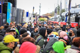 Paddock
