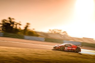 #26 Sainteloc Junior Team Audi R8 LMS evo II GT3 Gilles Magnus BEL Nicolas Baert BEL Silver Cup, Pre Qualifying
