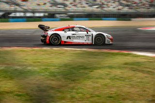 #11 Tresor by Car Collection Audi R8 LMS evo II GT3 Simon Gachet FRA Christopher Haase DEU Pro, Race 2
