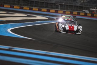 #24 Herberth Motorsport Porsche 911 GT3-R (991.II) Niki LEUTWILER CHE Alessio PICARIELLO BEL Ivan JACOMA CHE Pro-Am Cup, Bronze Test
