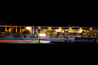 Race
