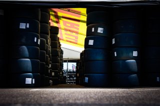 Paddock
