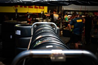 Paddock
