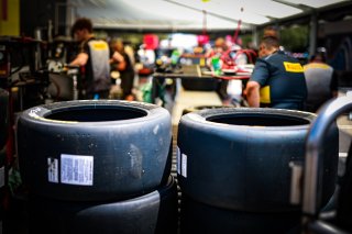 Paddock
