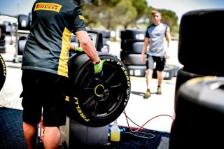 Paddock
