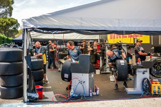 Paddock
