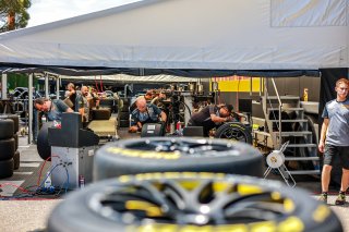 Paddock
