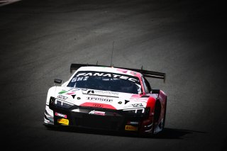 #12 Tresor by Car Collection Audi R8 LMS evo II GT3 Luca Ghiotto Mattia Drudi Pro, Free Practice
