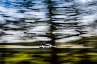 #12 Tresor by Car Collection Audi R8 LMS evo II GT3 Luca Ghiotto Mattia Drudi Pro, FGTWC, Pre-Qualifying
