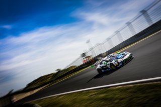 #54 Dinamic Motorsport Porsche 911 GT3-R (991.II) Adrien De Leener Christian Engelhart Pro, FGTWC, Pre-Qualifying
