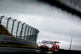 #12 Tresor by Car Collection Audi R8 LMS evo II GT3 Luca Ghiotto Mattia Drudi Pro, Qualifying 2
