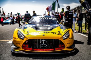 #88 AKKODIS ASP Team Mercedes-AMG GT3 Jules Gounon Jim Pla Pro, FGTWC, Grid Walk, Race 2

