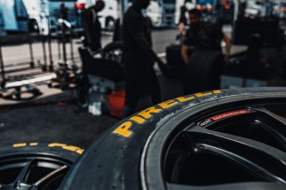 Paddock, Set Up

