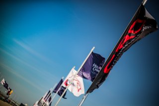 Paddock, Set Up
