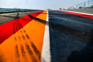 Track Walk
