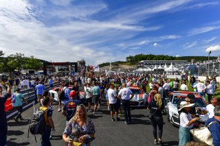 Gridwalk
