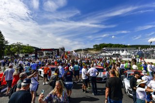 Gridwalk
