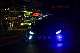 Pitlane, Race
