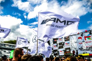 #88 AMG Team AKKODIS ASP Mercedes-AMG GT3 Raffaele MARCIELLO Daniel JUNCADELLA Jules GOUNON Mercedes-AMG GT3 Pro, Celebration, Race

