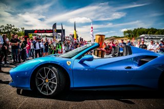 Grid Walk
