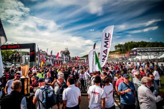 Grid Walk

