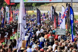 Gridwalk, Race
