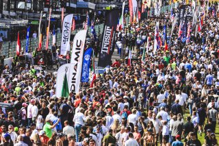 Gridwalk, Race
