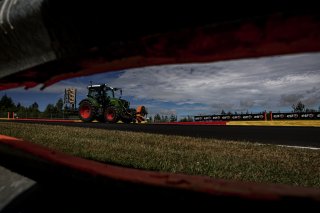 Race
