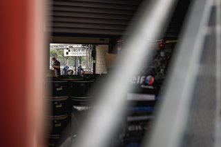 Paddock
